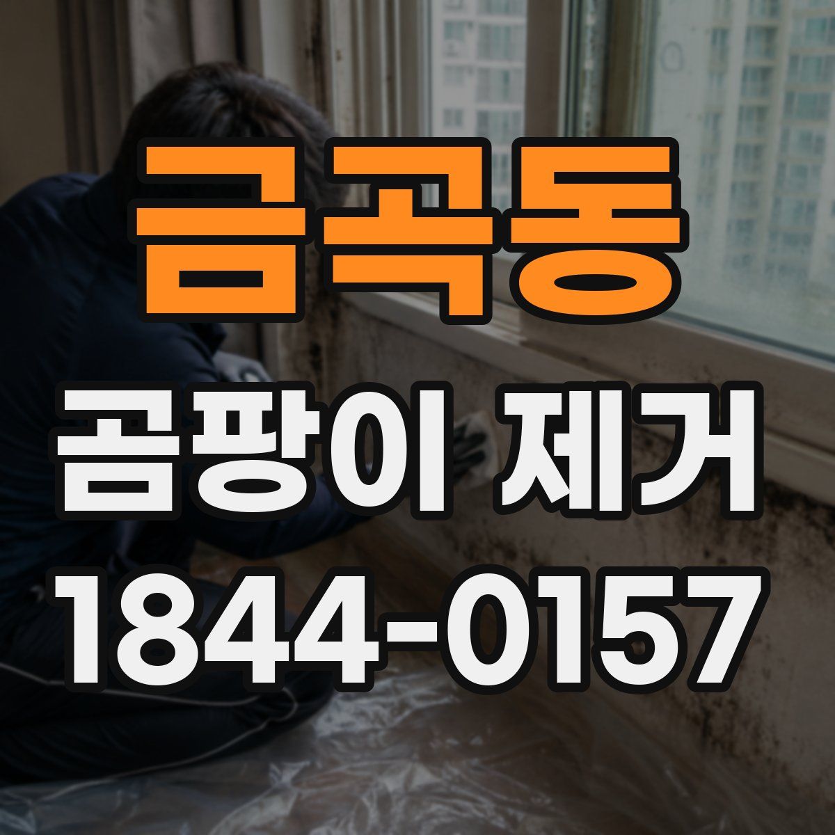 금곡동 곰팡이 제거