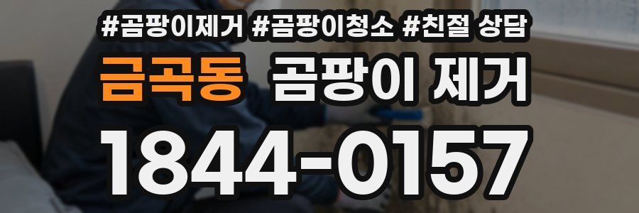 금곡동 곰팡이 제거