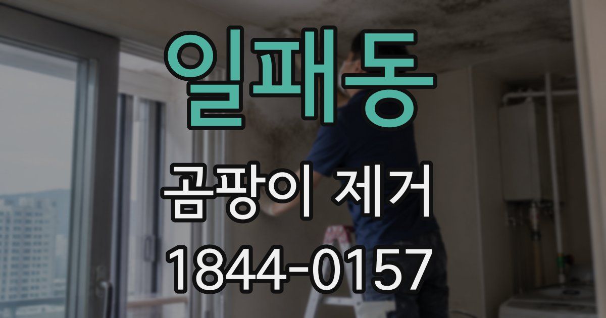 일패동 곰팡이 제거