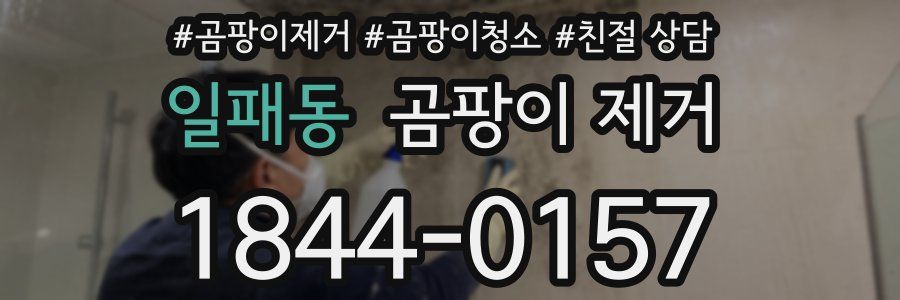 일패동 곰팡이 제거