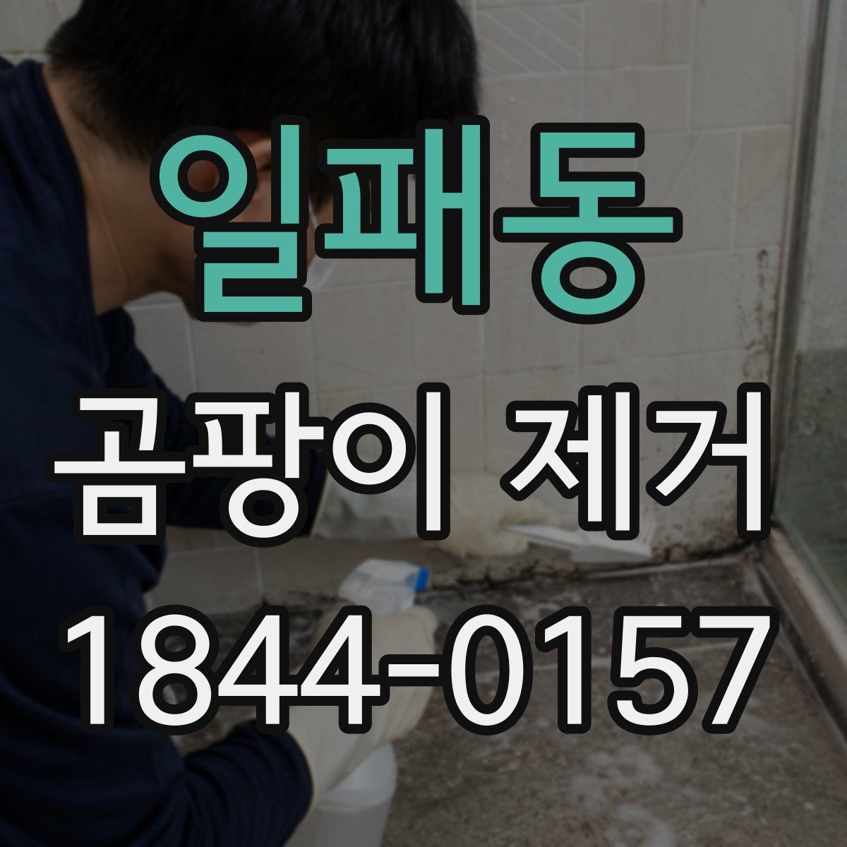 일패동 곰팡이 제거