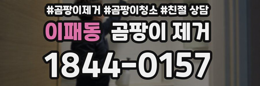 이패동 곰팡이 제거
