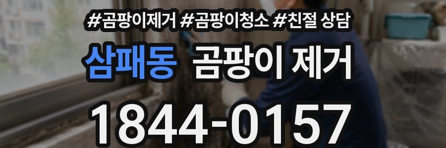 삼패동 곰팡이 제거