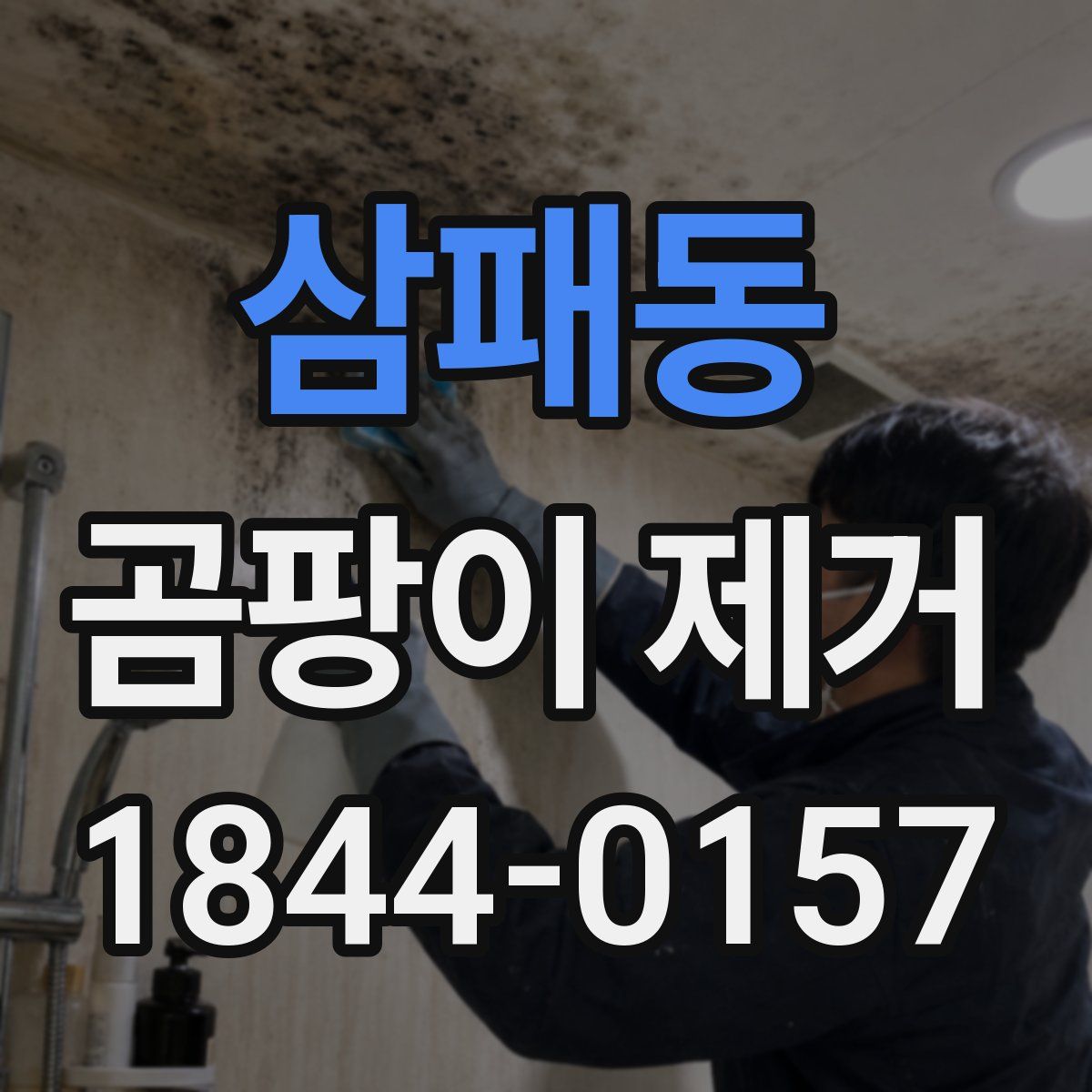 삼패동 곰팡이 제거