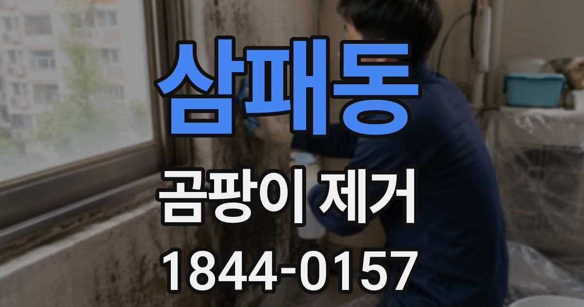 삼패동 곰팡이 제거