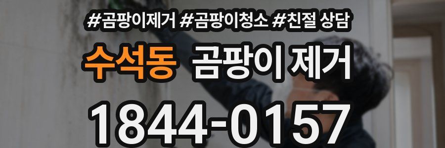 수석동 곰팡이 제거