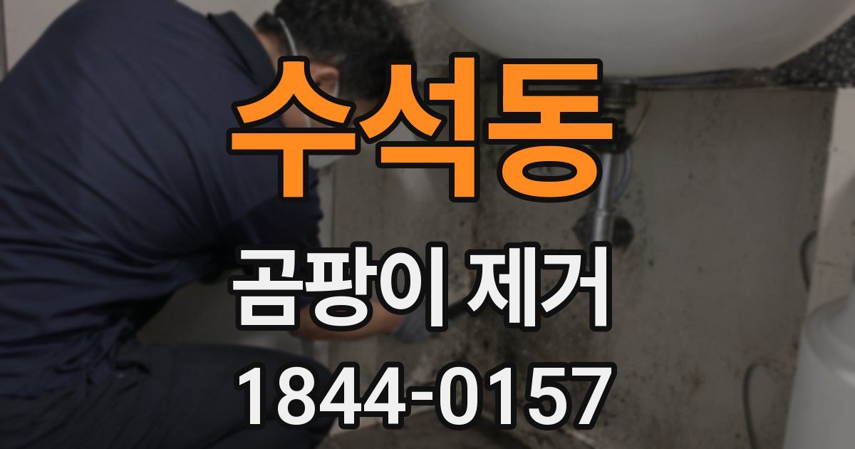 수석동 곰팡이 제거