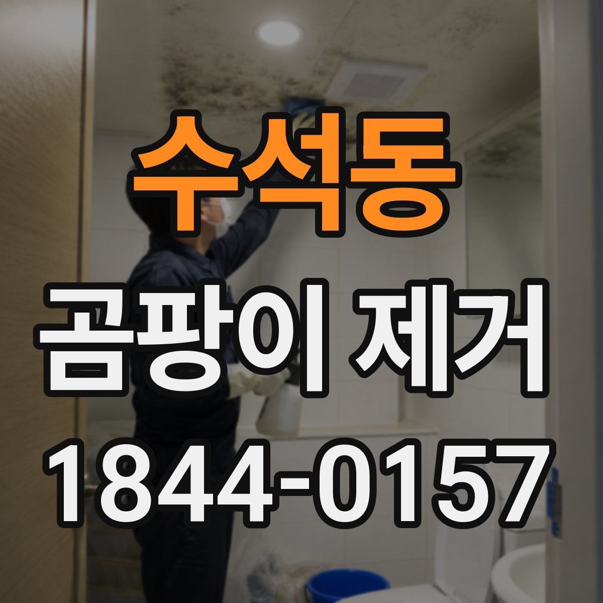 수석동 곰팡이 제거