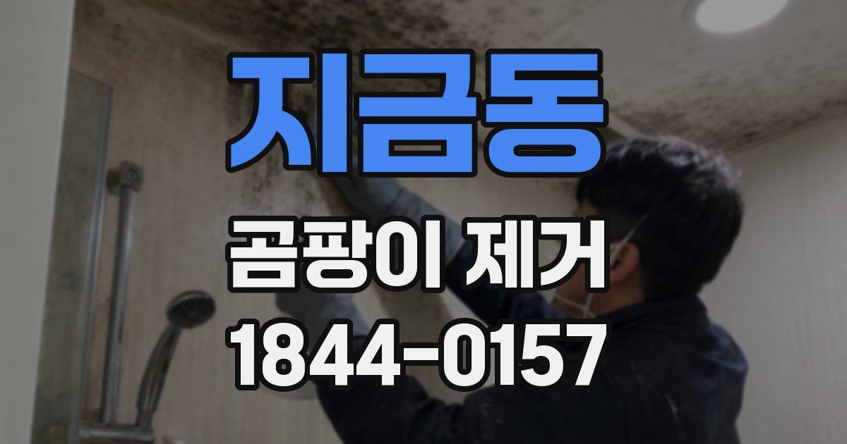 지금동 곰팡이 제거