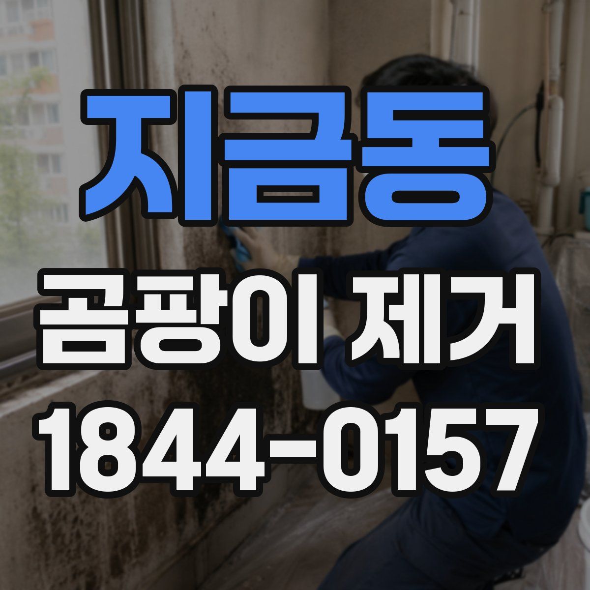 지금동 곰팡이 제거