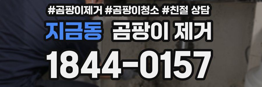 지금동 곰팡이 제거