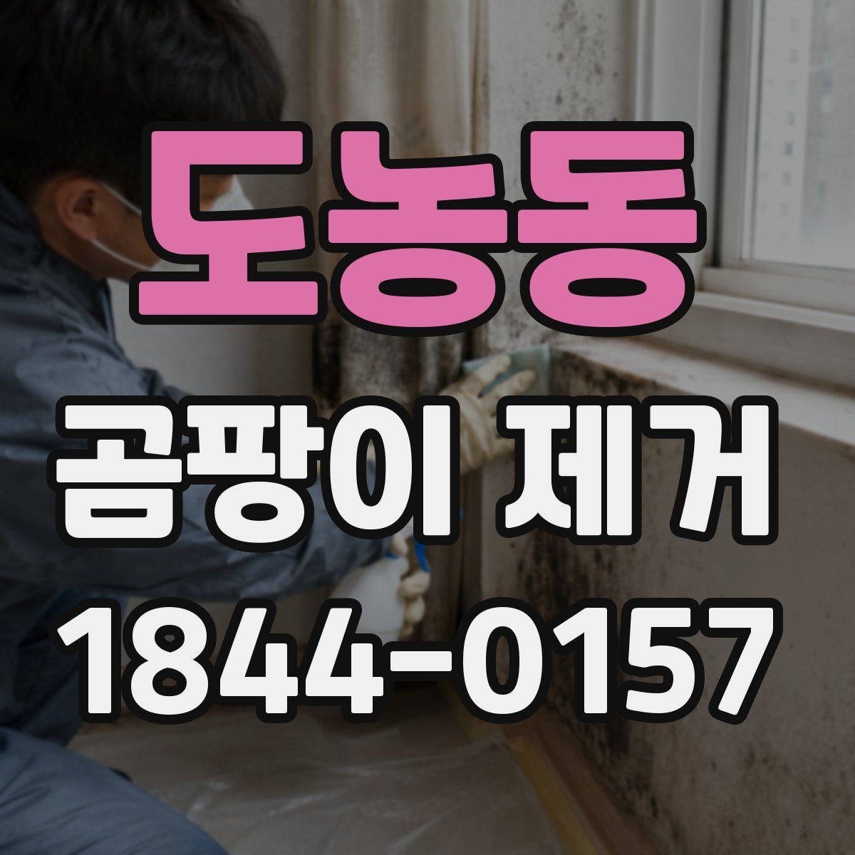 도농동 곰팡이 제거 후 다시 번지지 않게 하는 습관