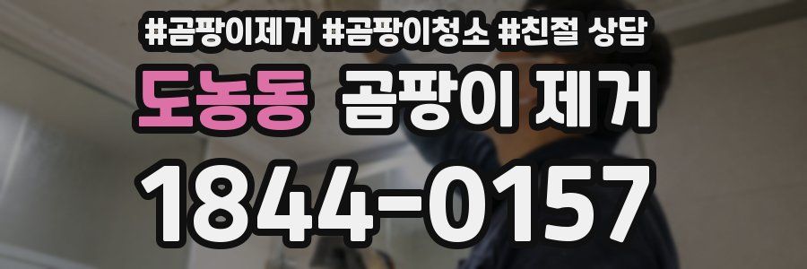 도농동 곰팡이 제거