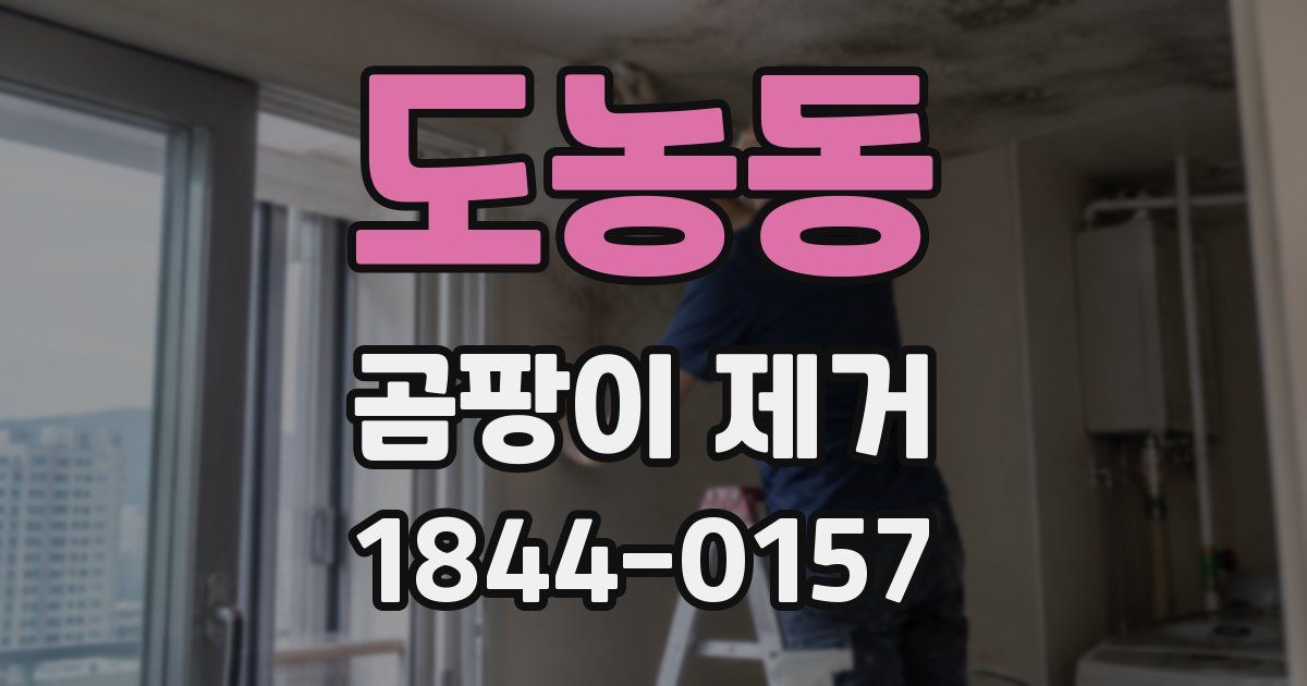 도농동 곰팡이 제거