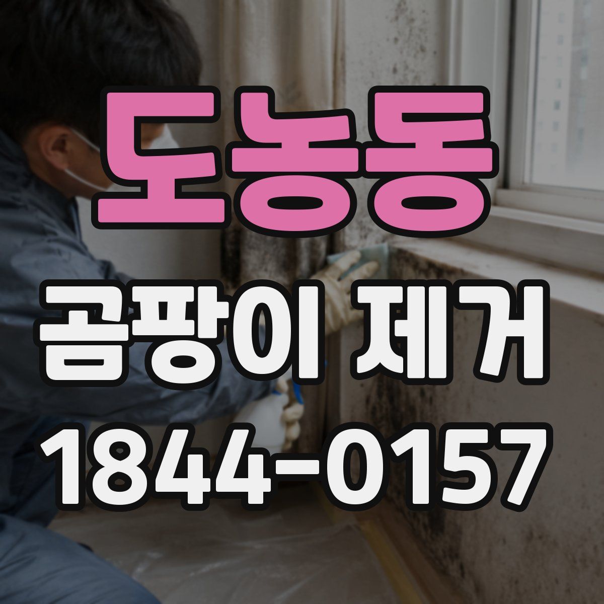 도농동 곰팡이 제거