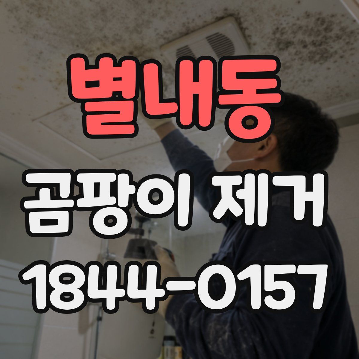 별내동 곰팡이 제거
