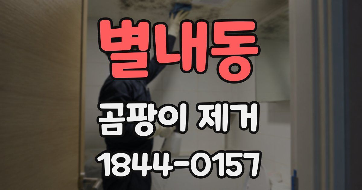 별내동 곰팡이 제거