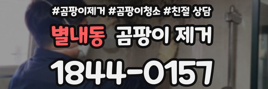 별내동 곰팡이 제거
