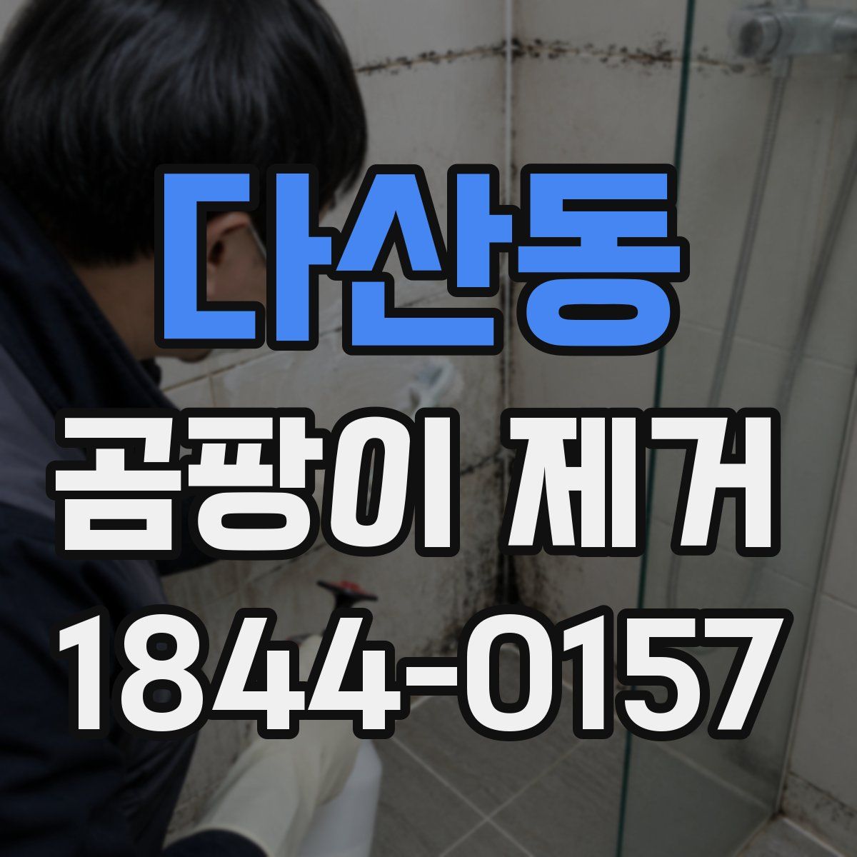 다산동 곰팡이 제거