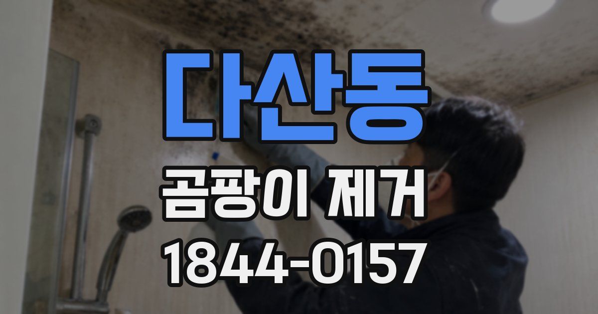 다산동 곰팡이 제거
