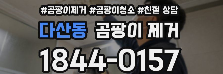 다산동 곰팡이 제거