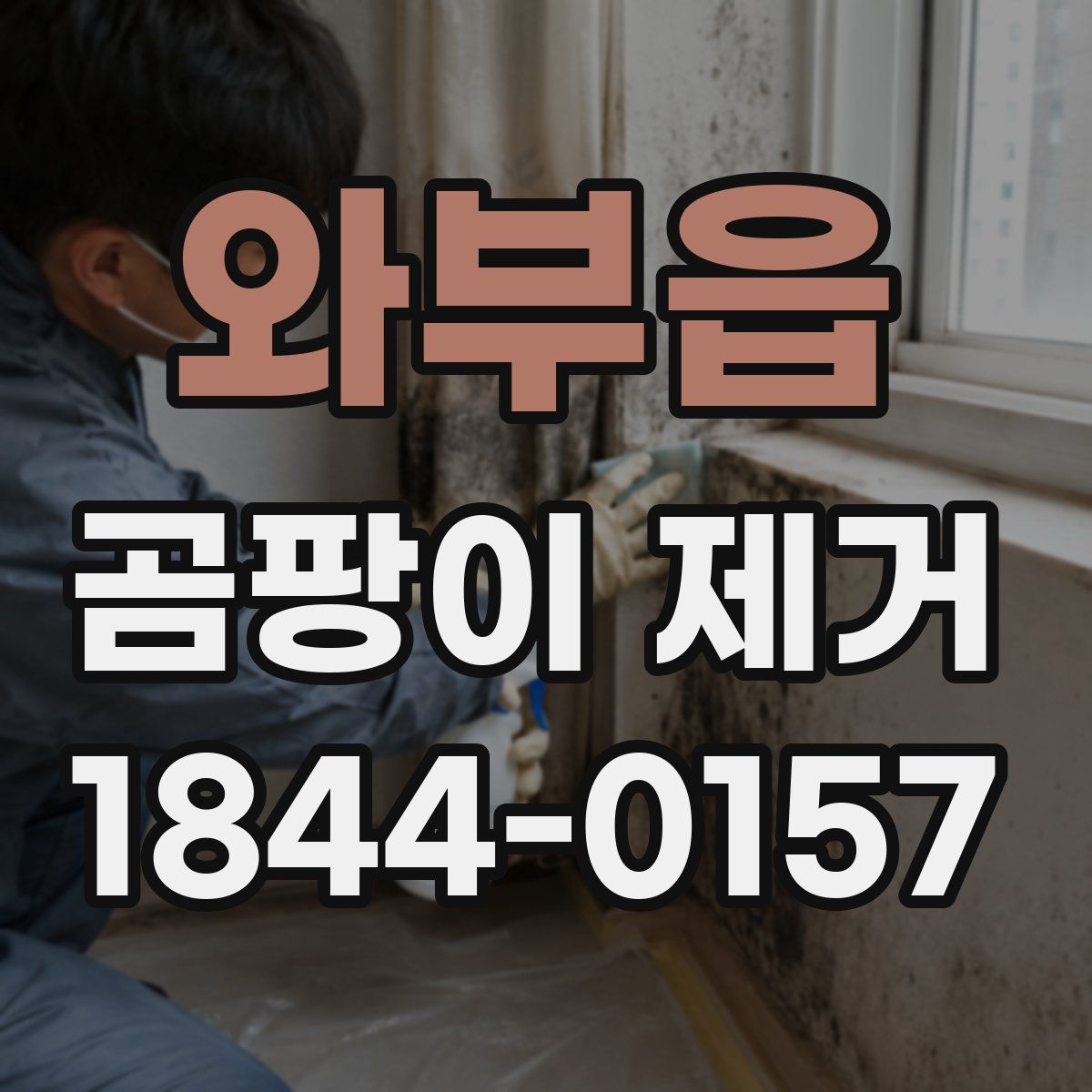 와부읍 곰팡이 제거