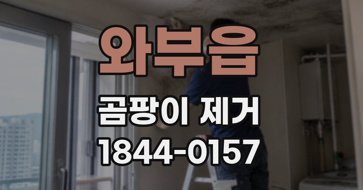 와부읍 곰팡이 제거