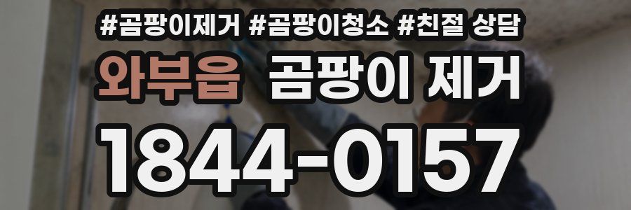 와부읍 곰팡이 제거