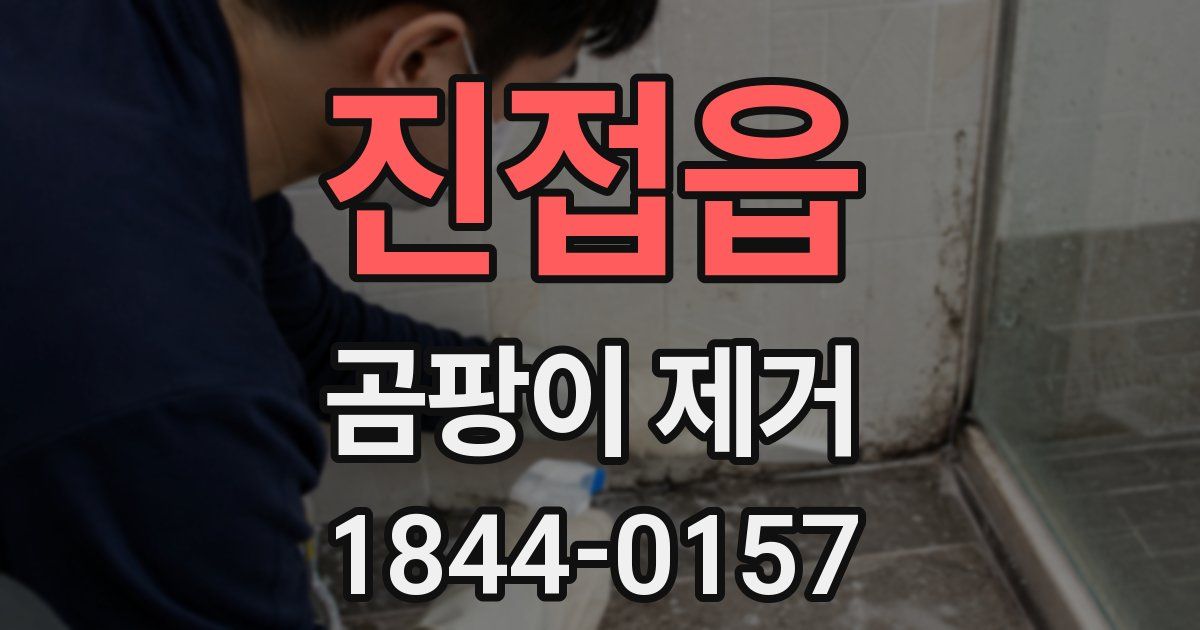 진접읍 곰팡이 제거
