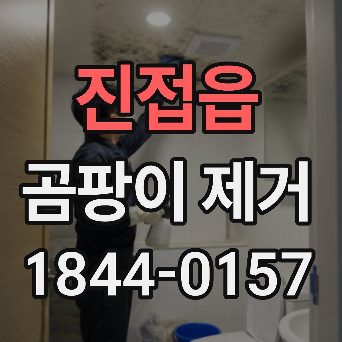 진접읍 곰팡이 제거