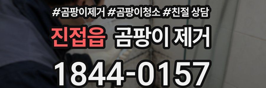 진접읍 곰팡이 제거