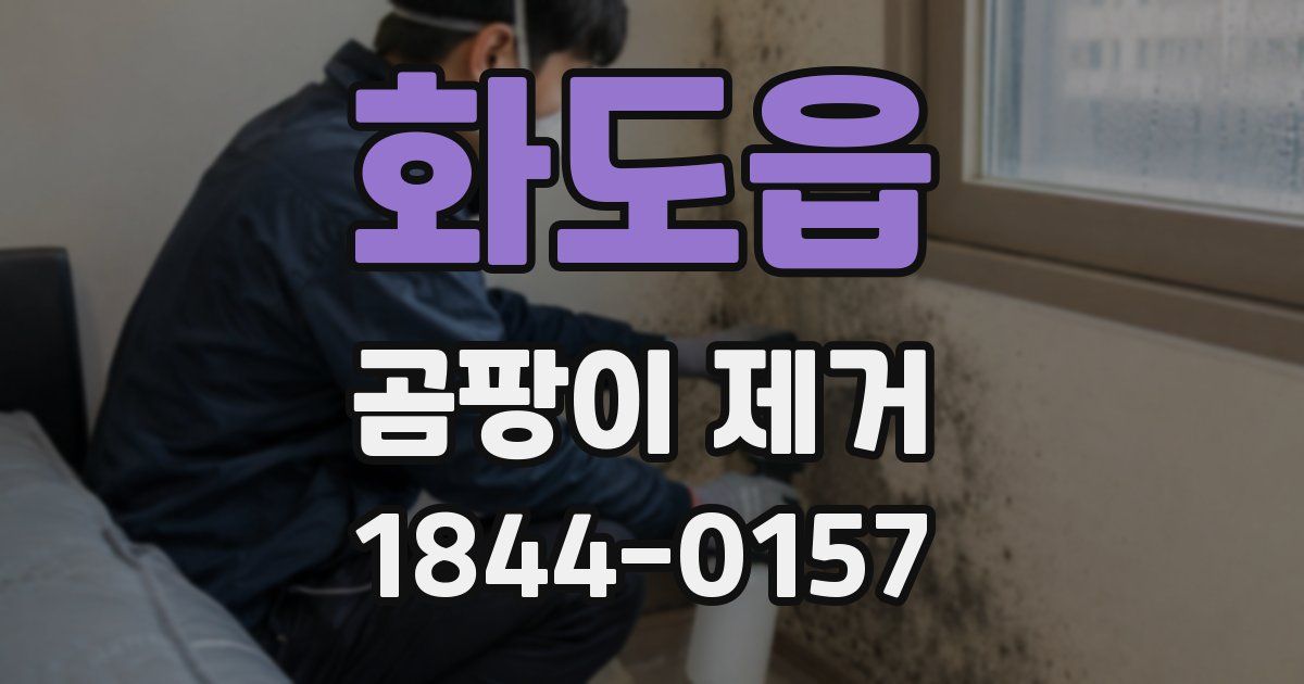 화도읍 곰팡이 제거