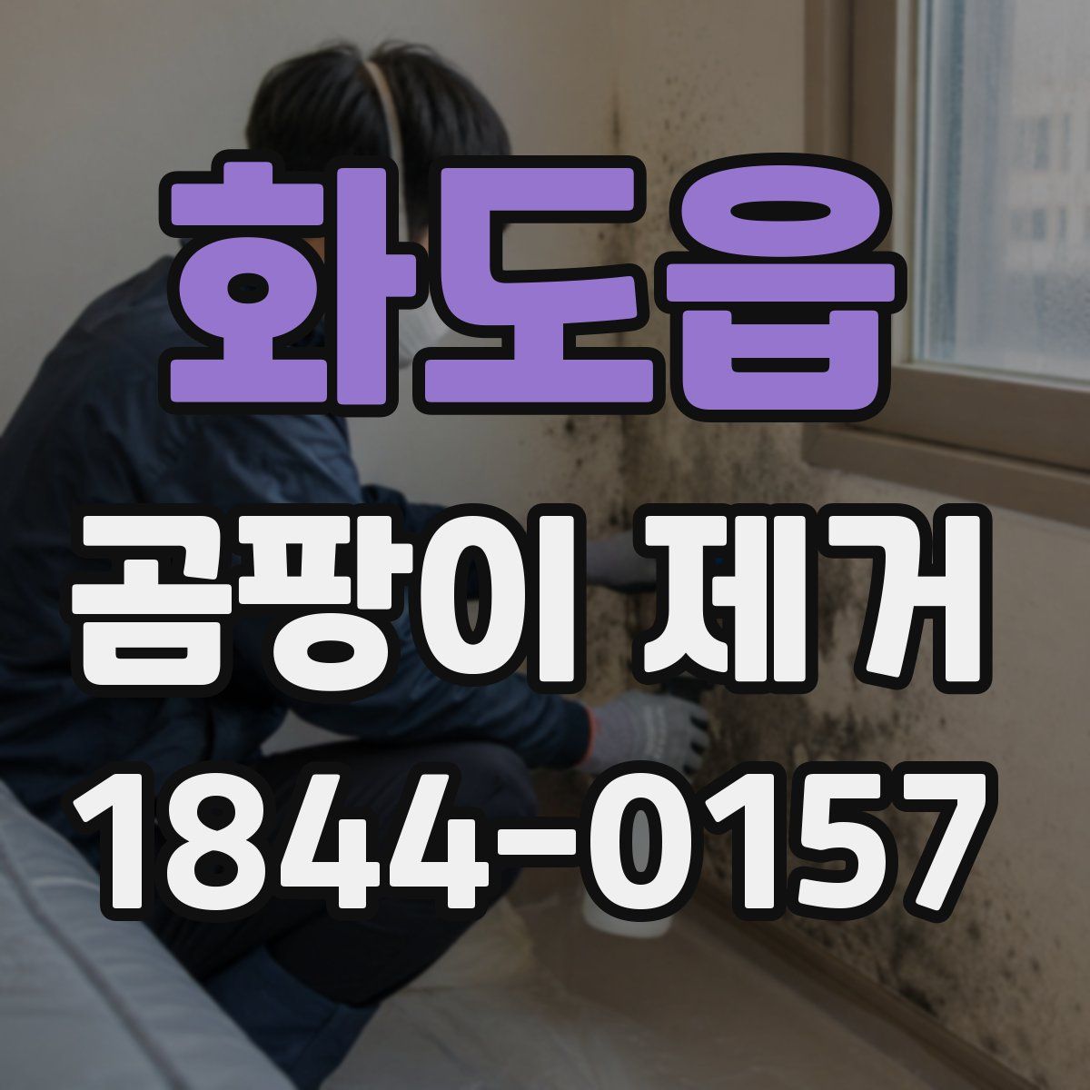 화도읍 곰팡이 제거