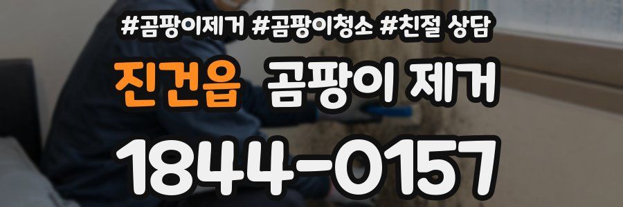 진건읍 곰팡이 제거