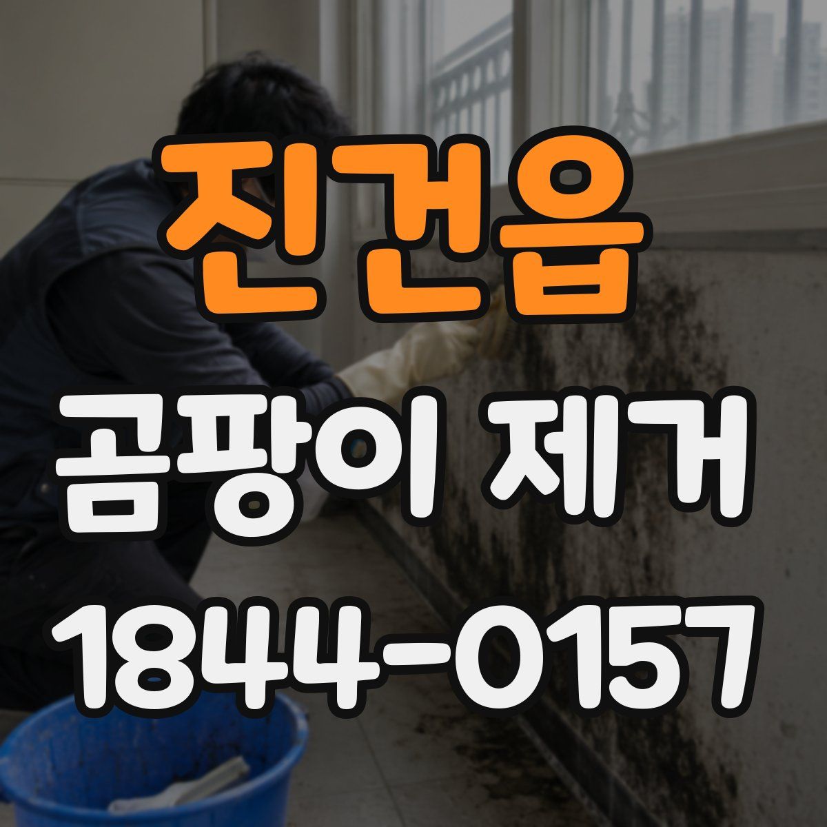 진건읍 곰팡이 제거
