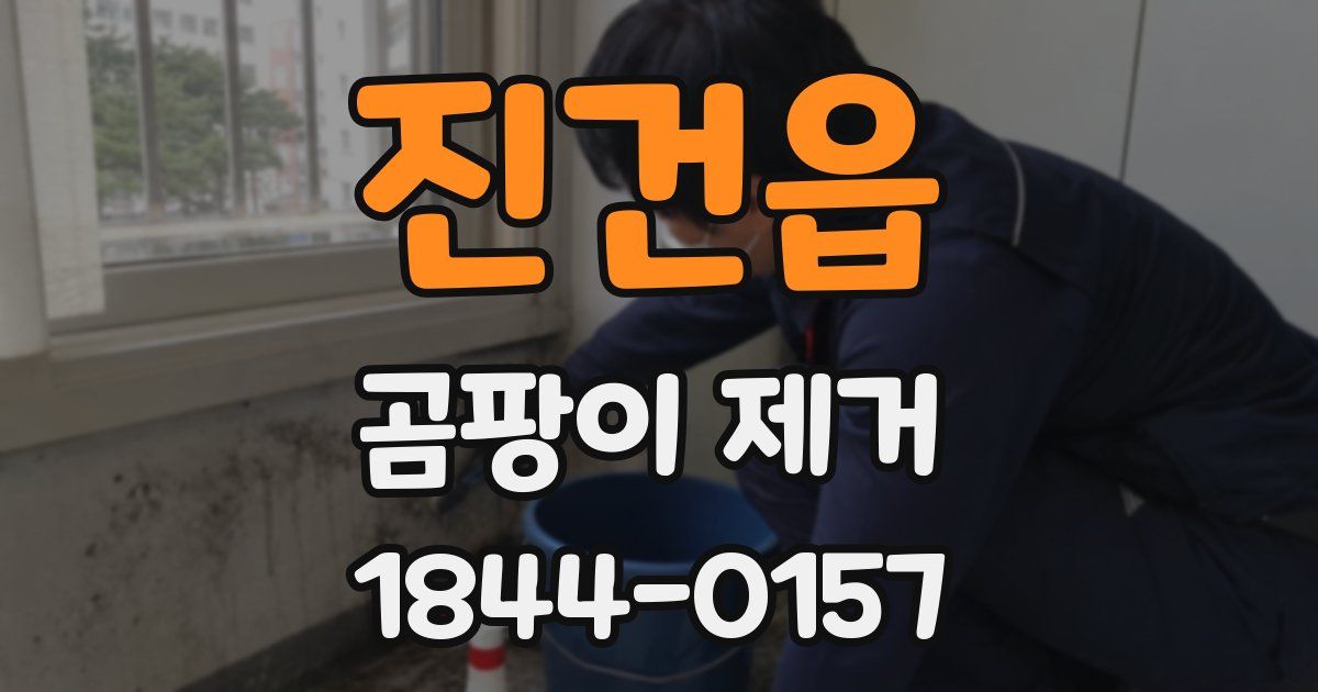 진건읍 곰팡이 제거