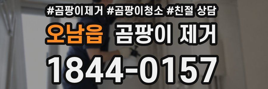 오남읍 곰팡이 제거