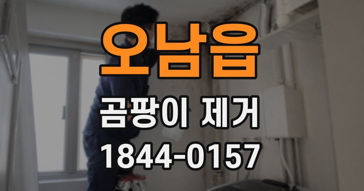 오남읍 곰팡이 제거