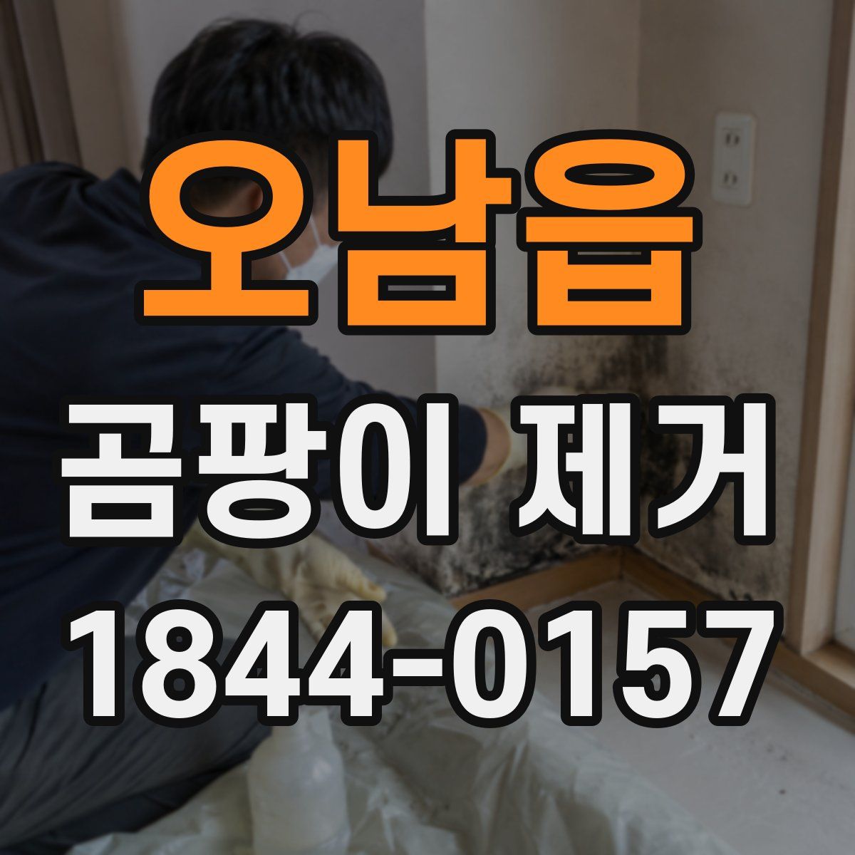 오남읍 곰팡이 제거