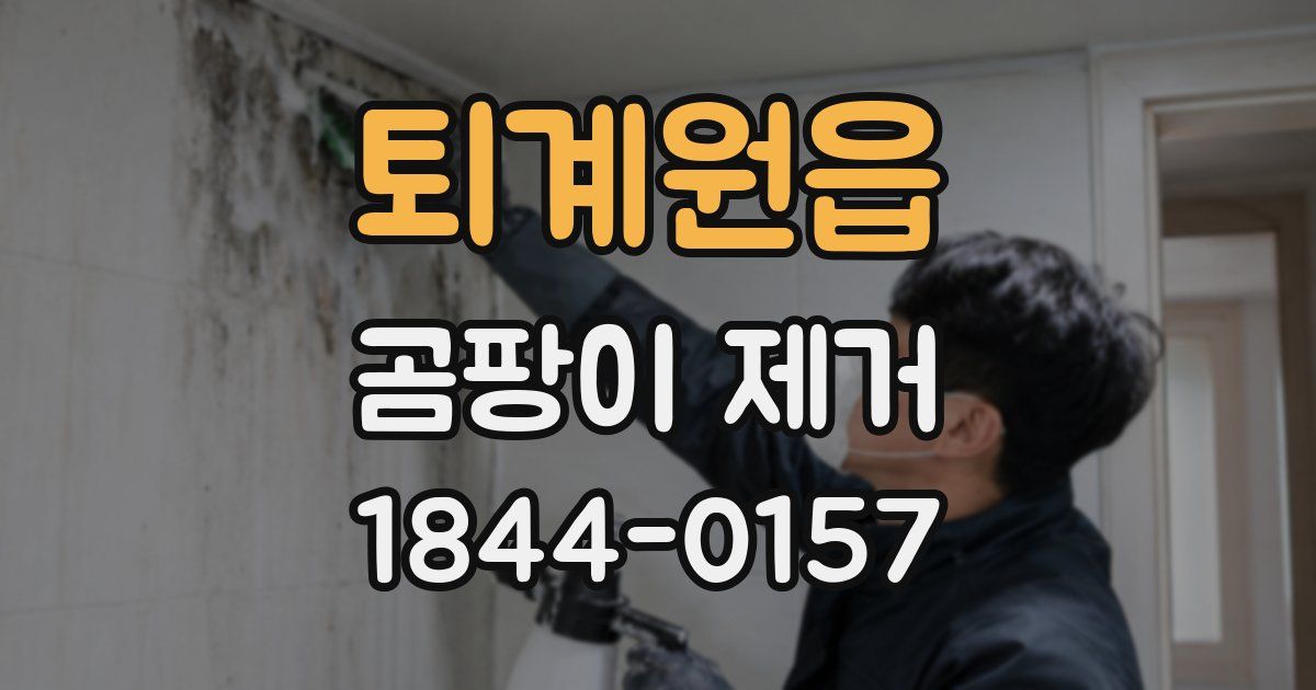 퇴계원읍 곰팡이 제거