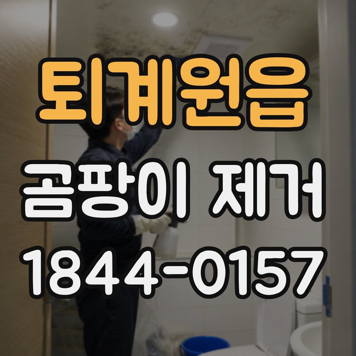 퇴계원읍 곰팡이 제거