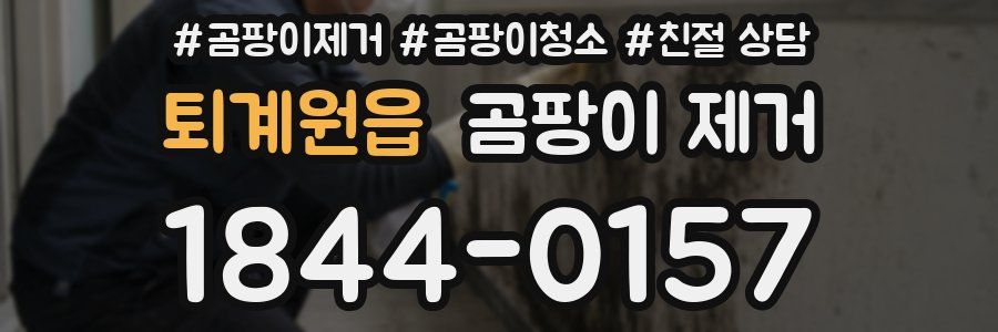 퇴계원읍 곰팡이 제거