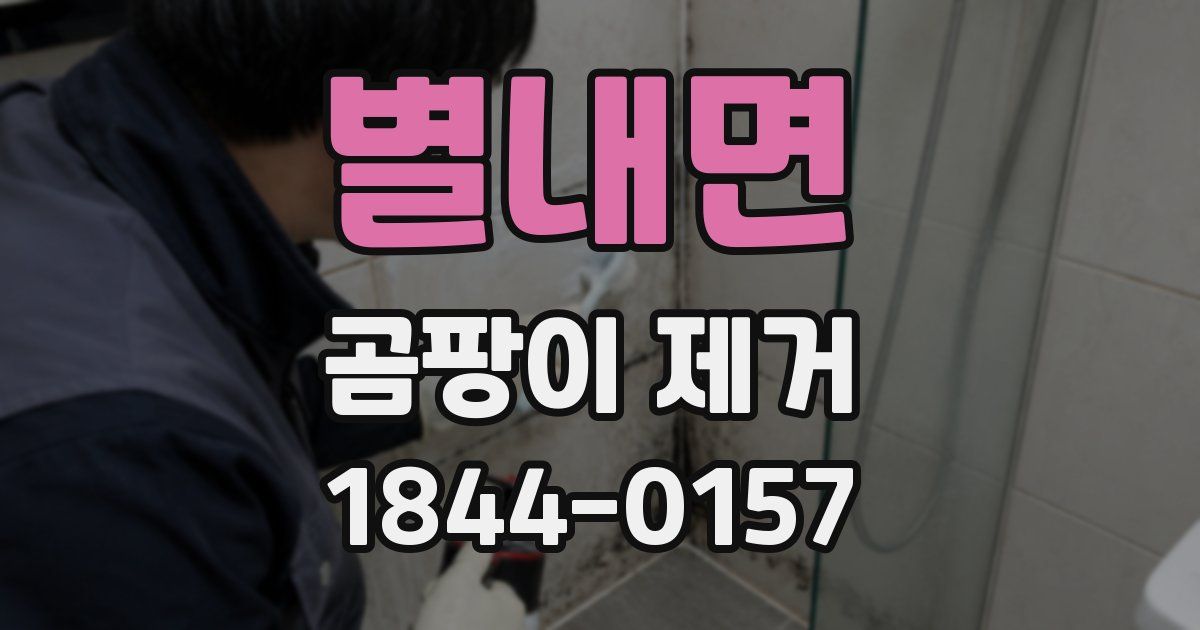 별내면 곰팡이 제거