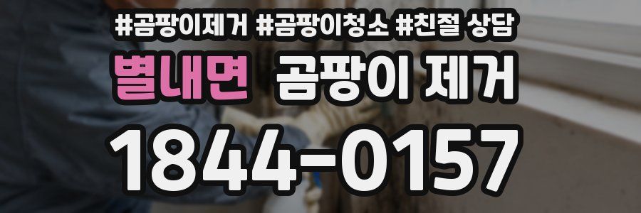 별내면 곰팡이 제거