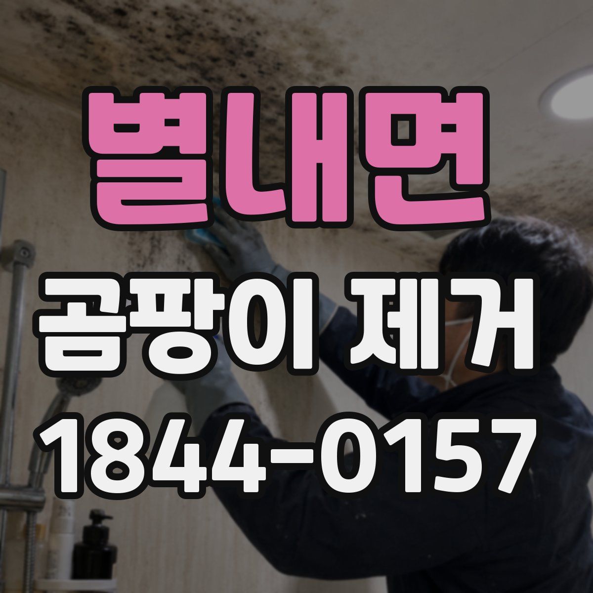 별내면 곰팡이 제거