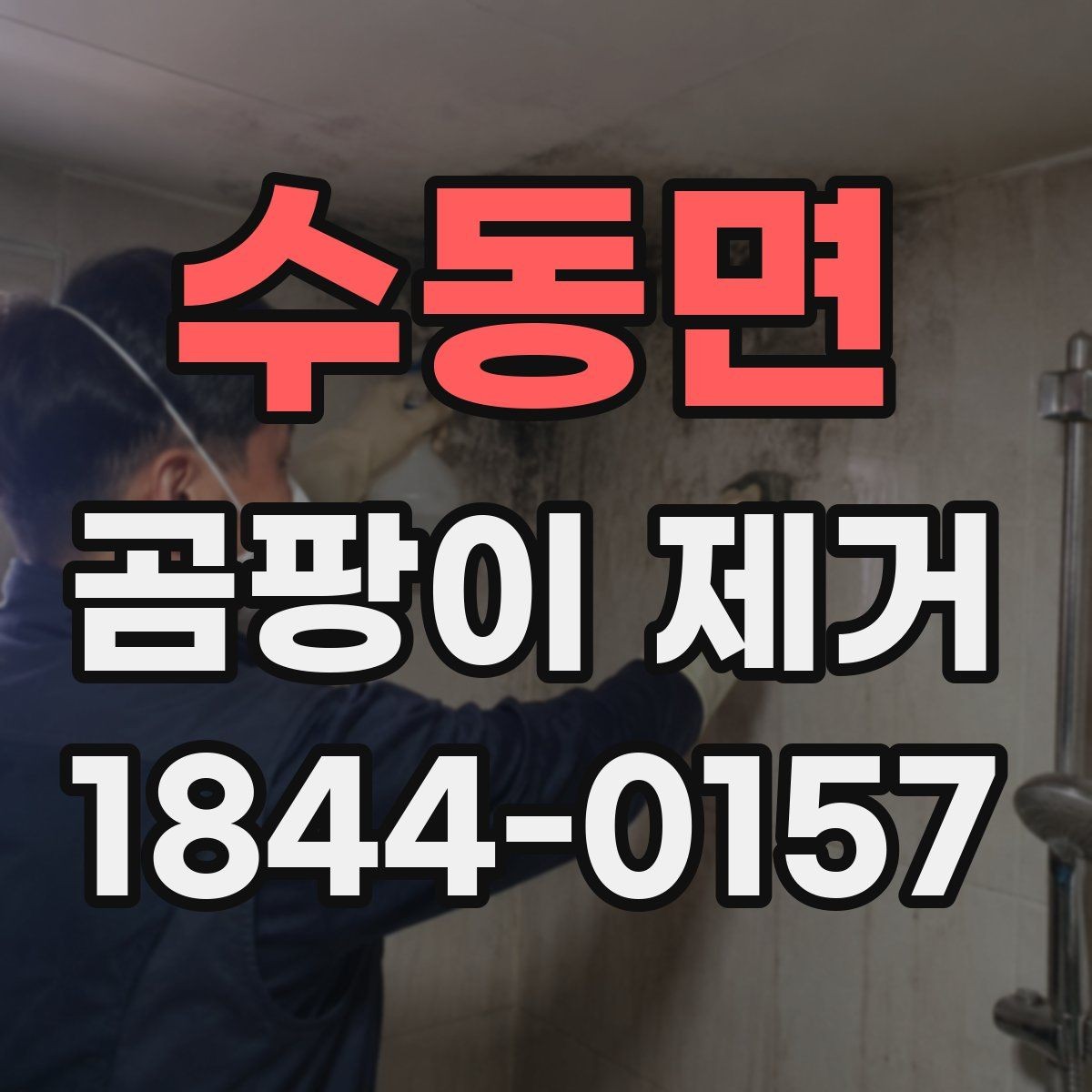 수동면 곰팡이 제거 전후로 달라지는 공간 관리