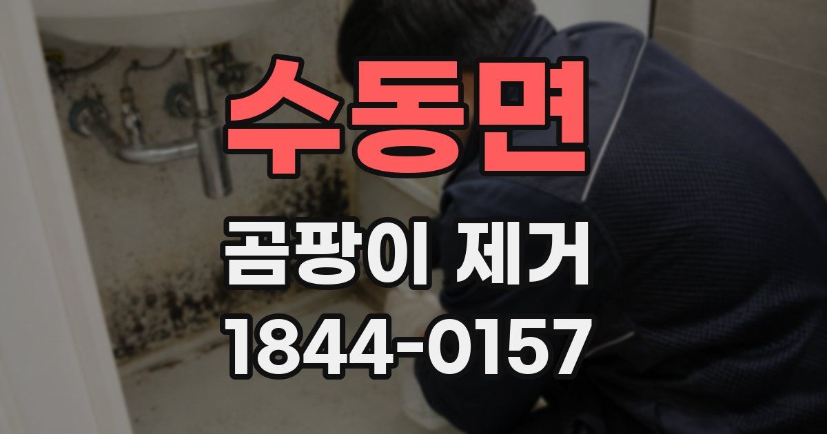수동면 곰팡이 제거