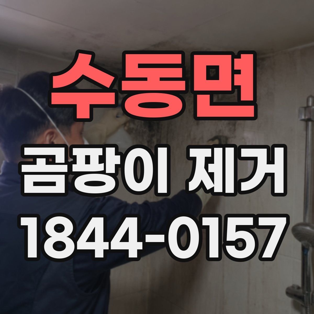 수동면 곰팡이 제거