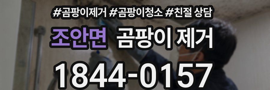 조안면 곰팡이 제거