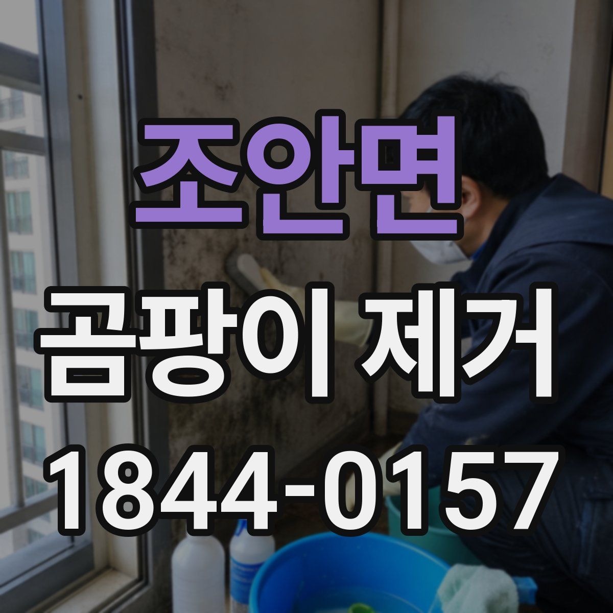 조안면 곰팡이 제거